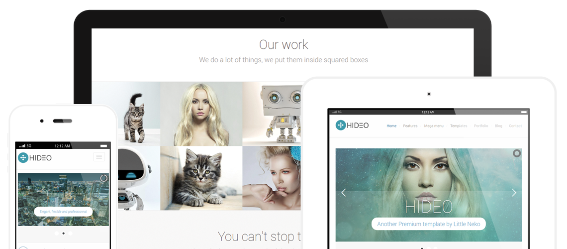 Hideo Premium Website template